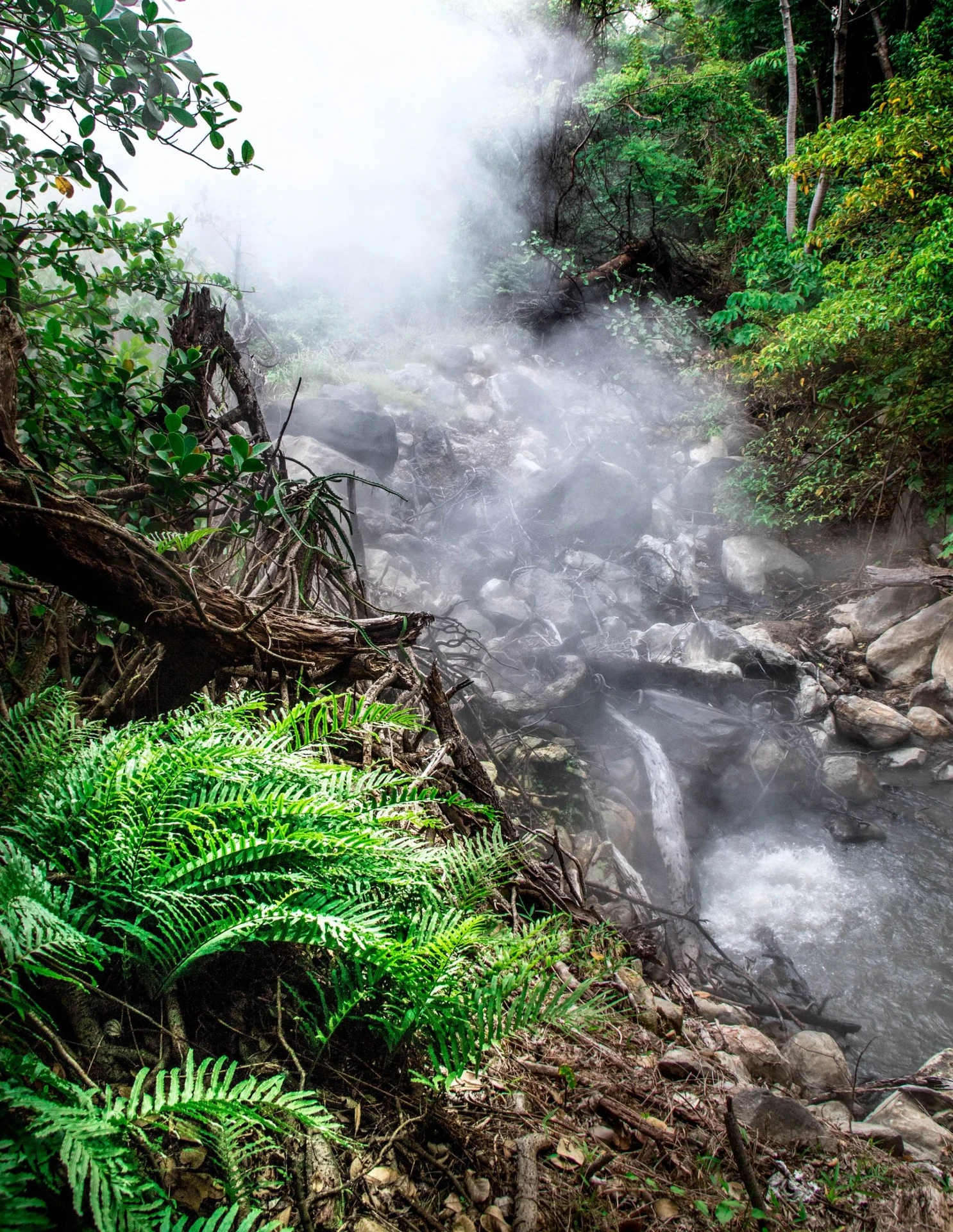 Rincon de la Vieja Hike, Waterfall and Hot Springs Day Trip
